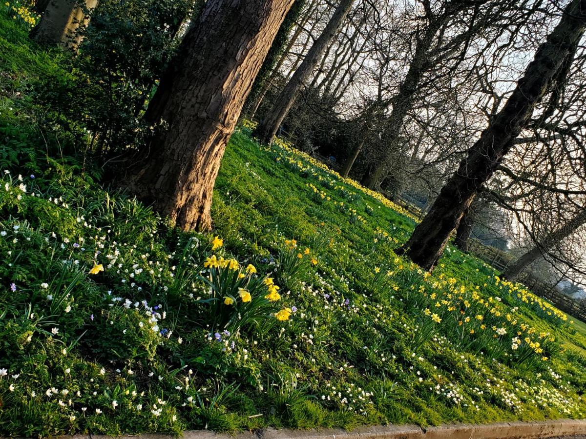 Coundon Lodge Coventry Esterno foto