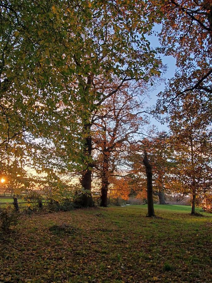 Coundon Lodge Coventry Esterno foto