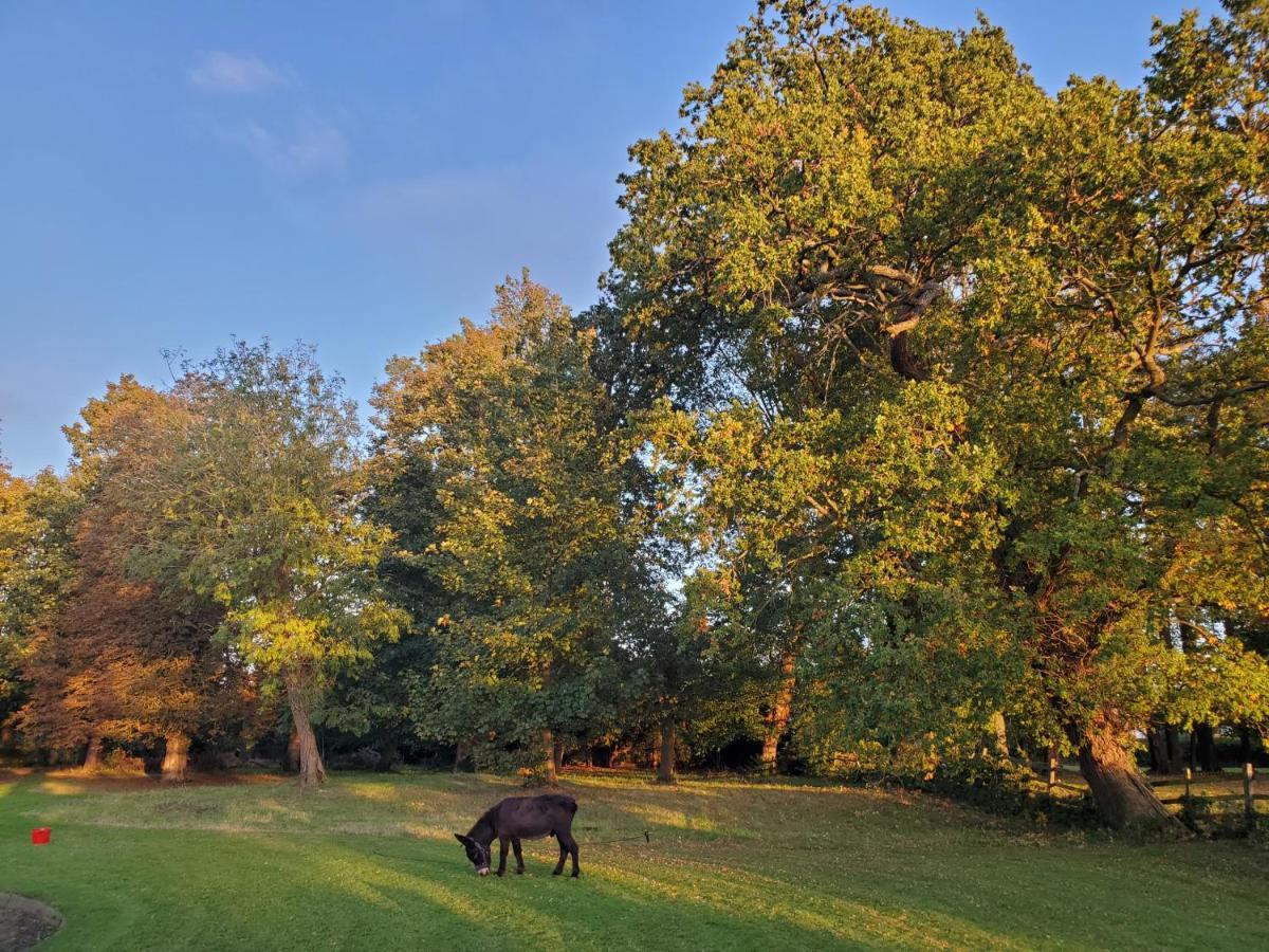 Coundon Lodge Coventry Esterno foto